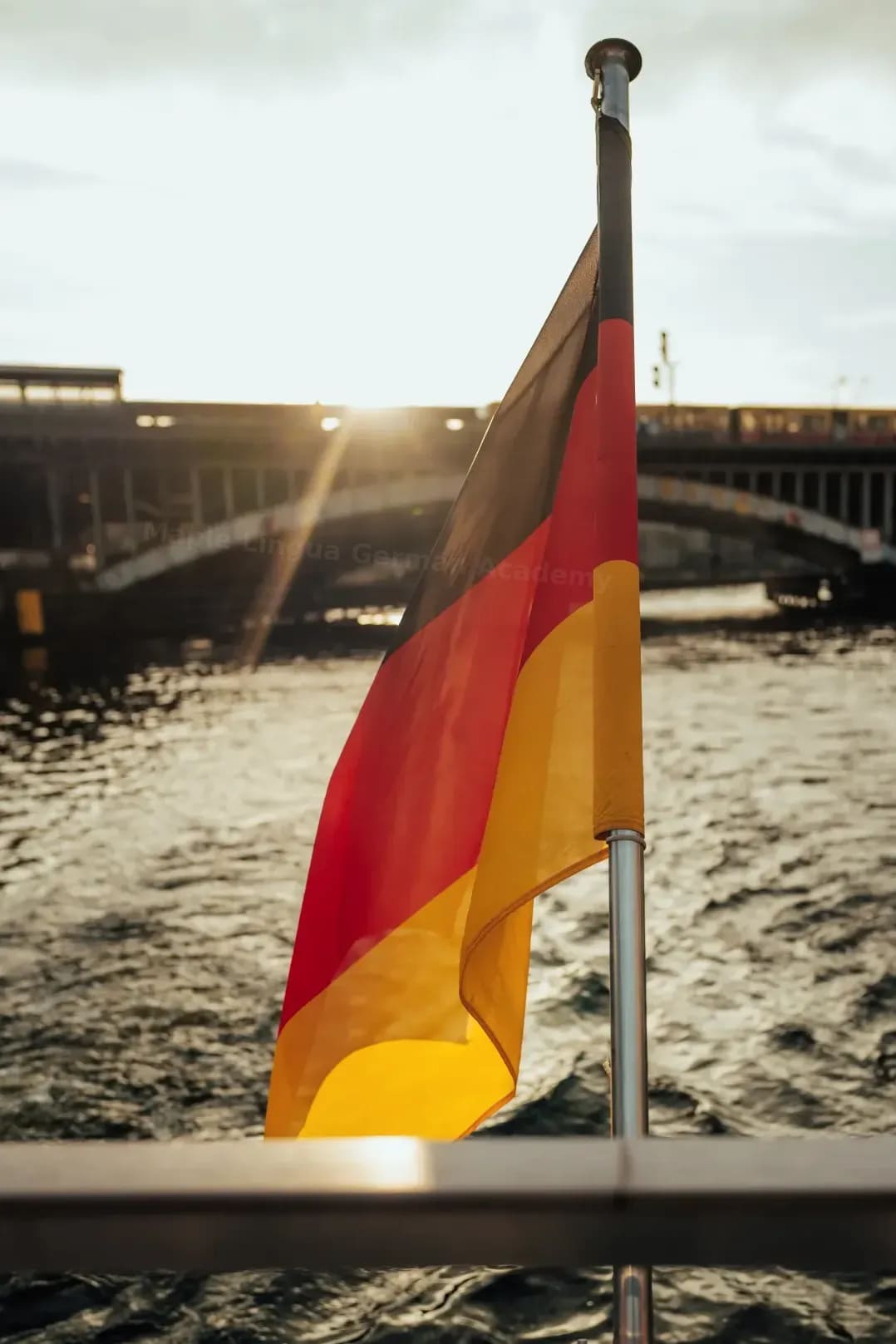 Maple Lingua German Academy 4