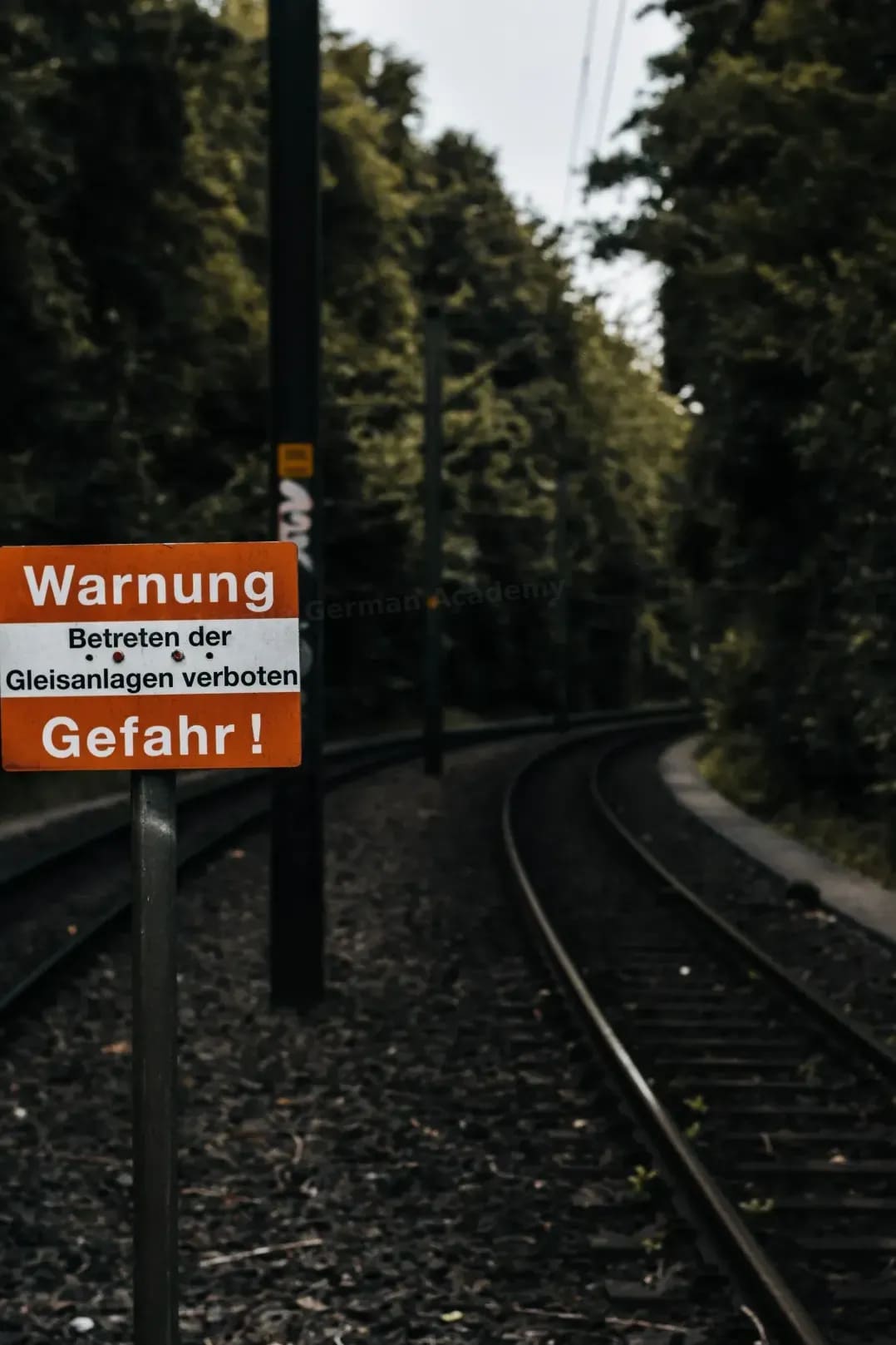 Business German training for professionals